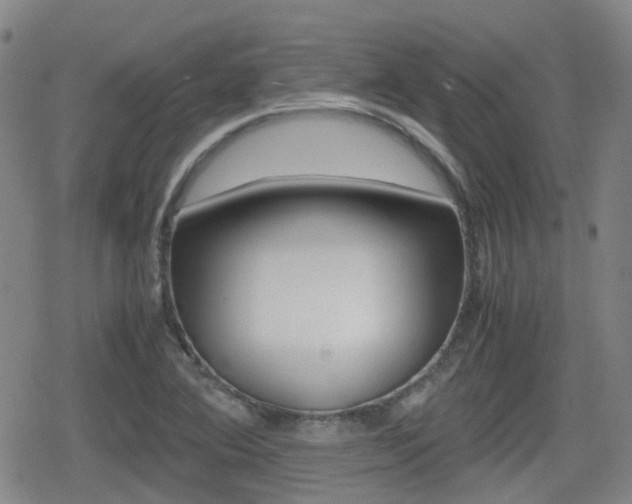 X0000080761364200612150923