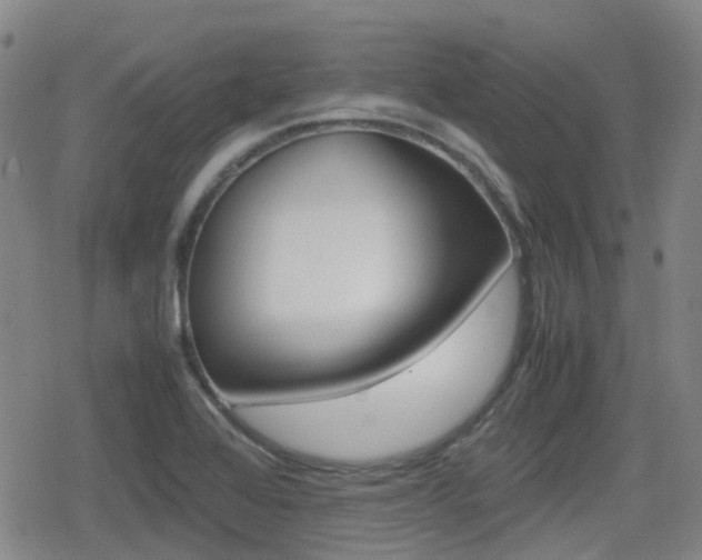 X0000080761368200612150923