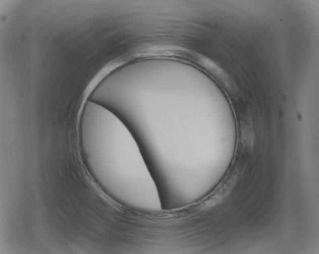 X0000080761370200612150923