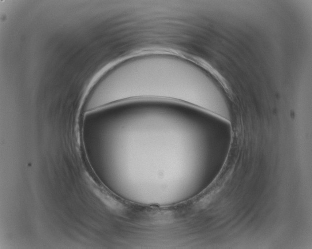 X0000080761372200612150923
