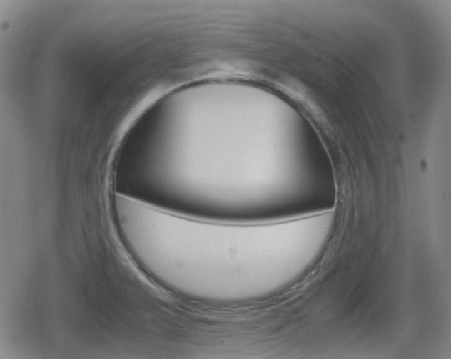X0000080761375200612150923