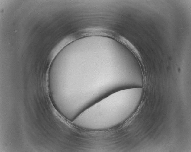 X0000080761386200612150923