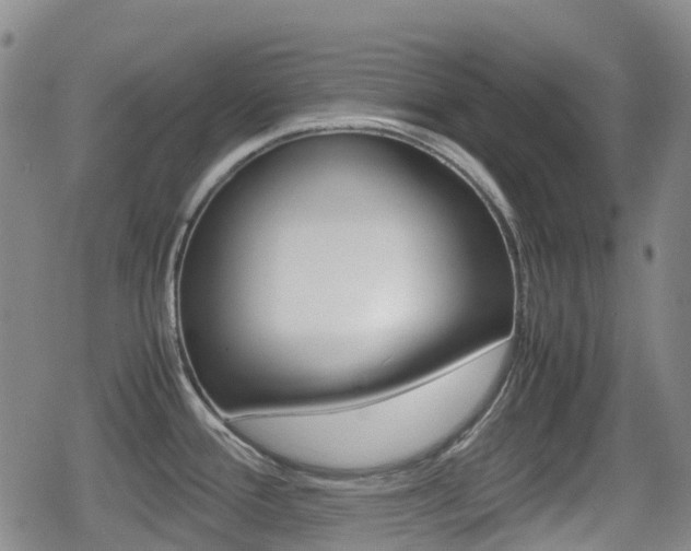 X0000080761388200612150923