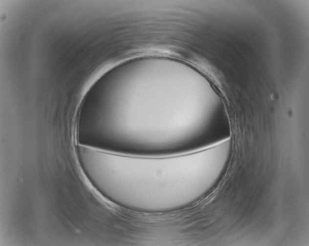 X0000080761391200612150923