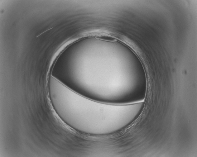 X0000080761392200612150923