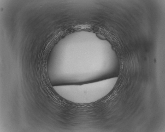 X0000080761393200612150922