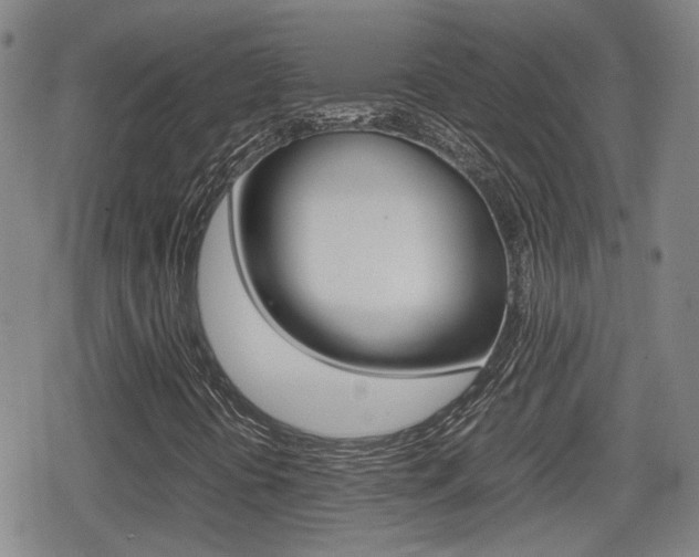 X0000080761394200612150922