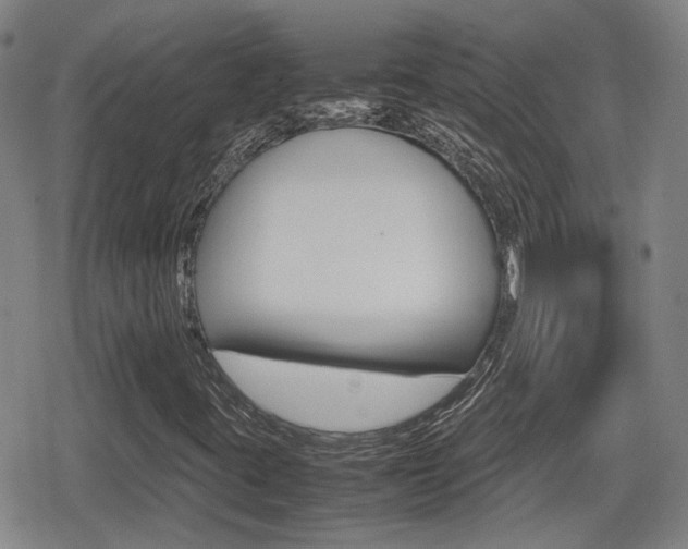 X0000080761395200612150922
