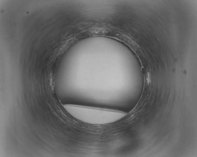 X0000080761396200612150922