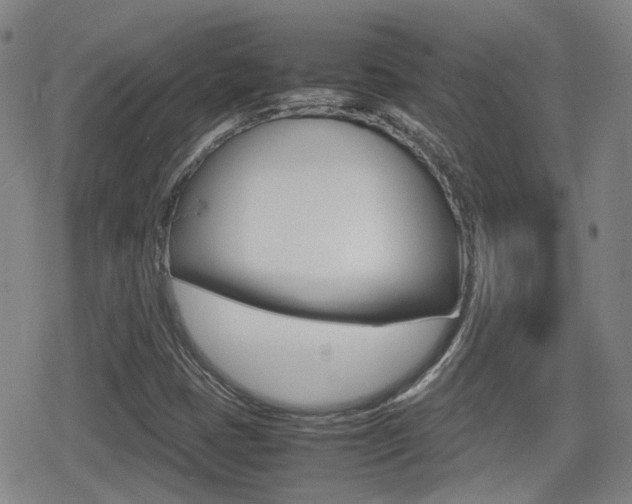 X0000080761401200612150922