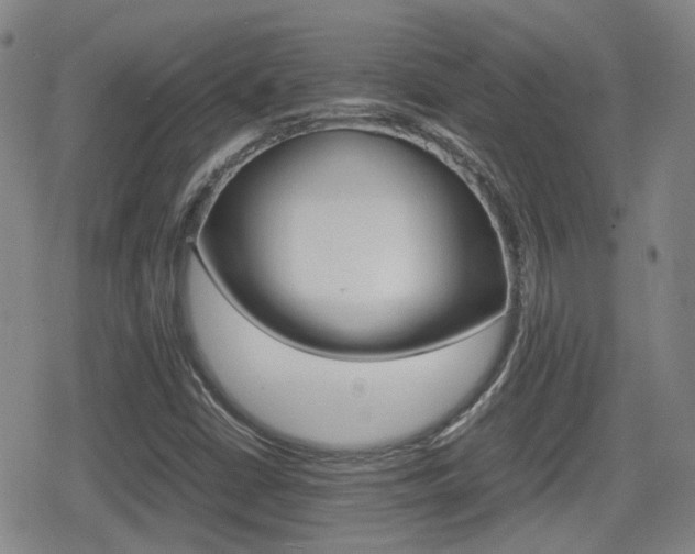 X0000080761402200612150922
