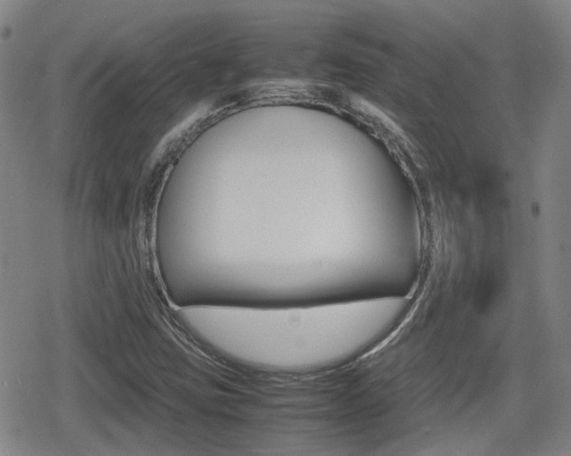 X0000080761403200612150922