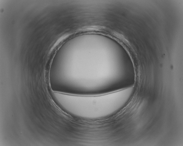 X0000080761404200612150922