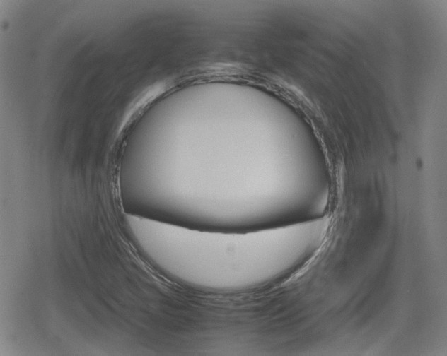 X0000080761405200612150922