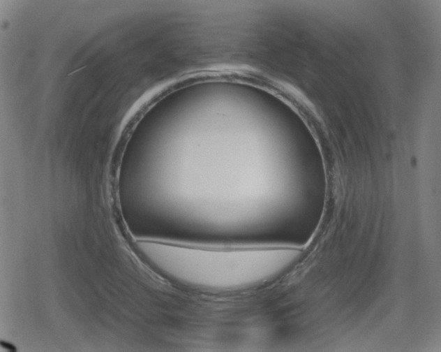 X0000080761412200612150922
