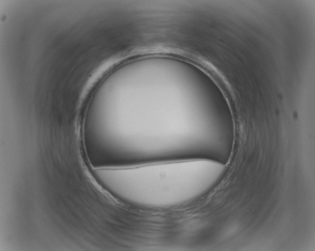 X0000080761416200612150922