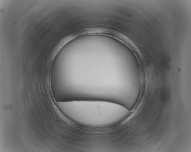 X0000080761417200612150922