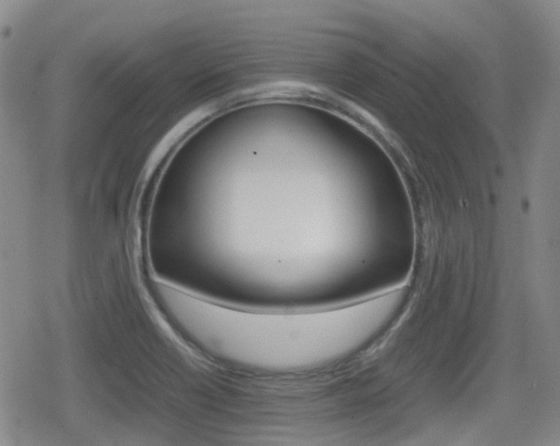 X0000080761418200612150922