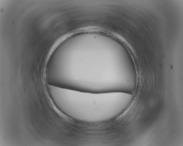 X0000080761421200612150922