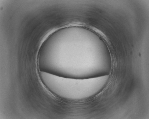 X0000080761423200612150922