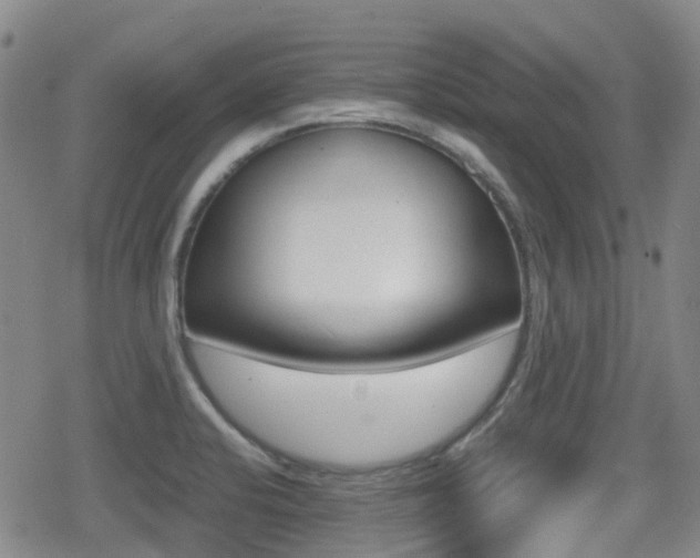 X0000080761424200612150922