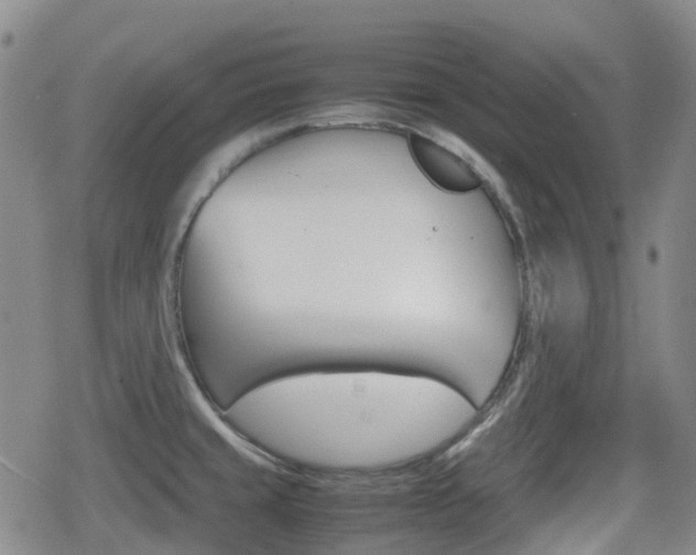 X0000080761429200612150923