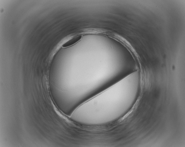 X0000080761433200612150923