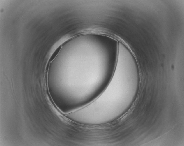 X0000080761434200612150923