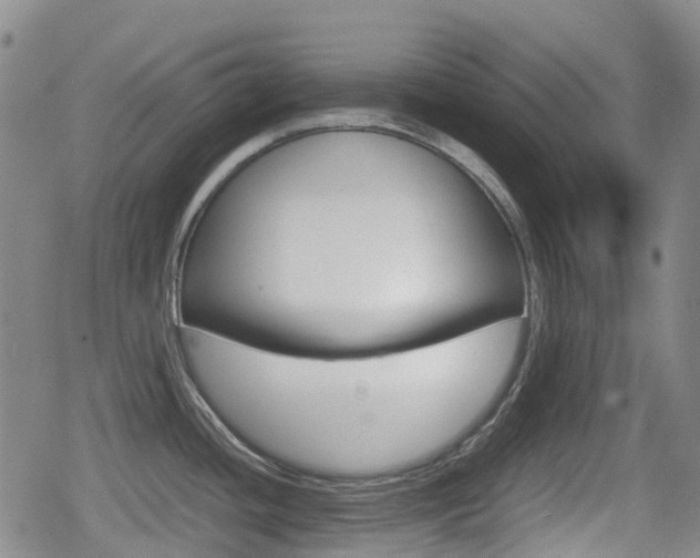 X0000080761436200612150923