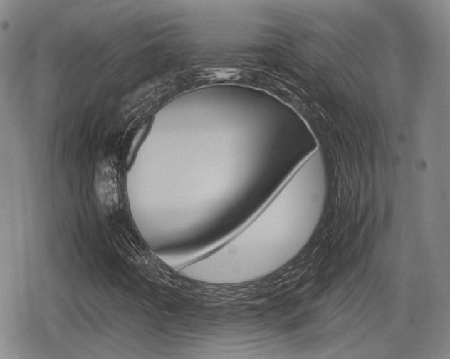 X0000080761442200612150922