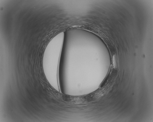 X0000080761443200612150922