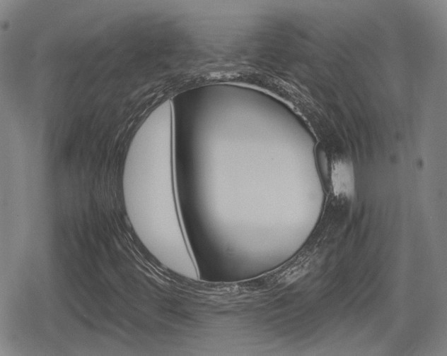 X0000080761444200612150922