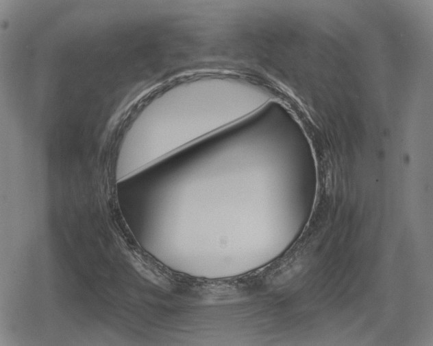 X0000080761448200612150922