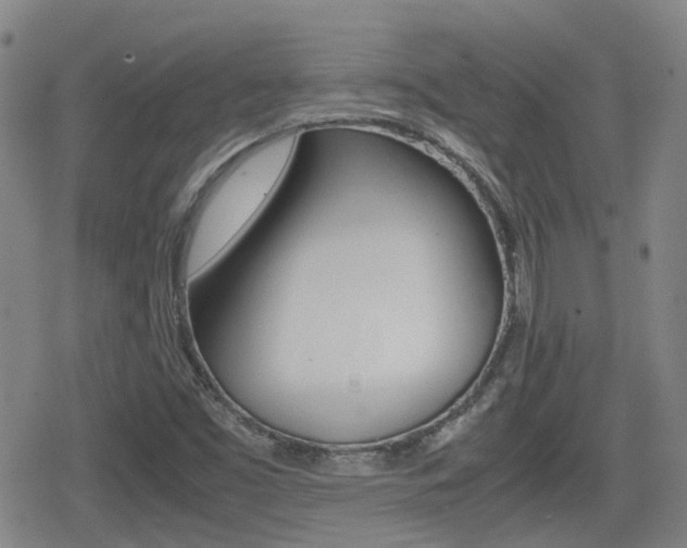 X0000080761453200612150922