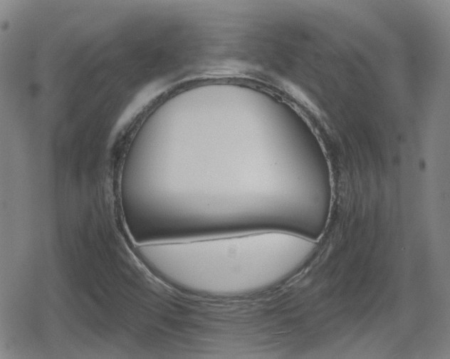X0000080761456200612150922