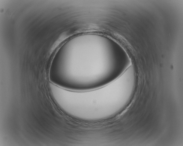 X0000080761457200612150922
