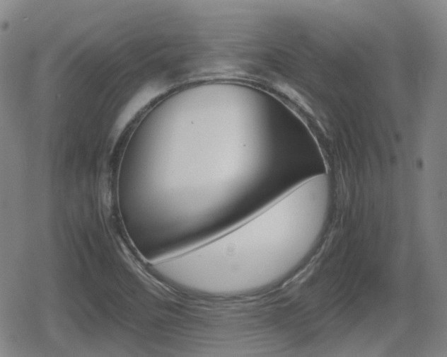 X0000080761458200612150922