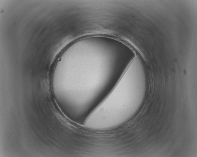 X0000080761460200612150922