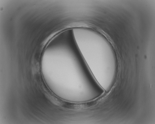 X0000080761465200612150922
