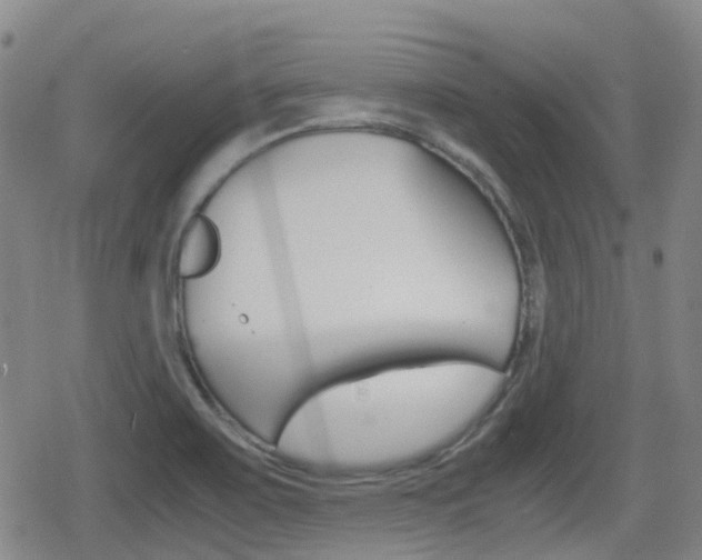 X0000080761467200612150922