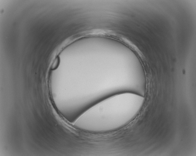 X0000080761475200612150921