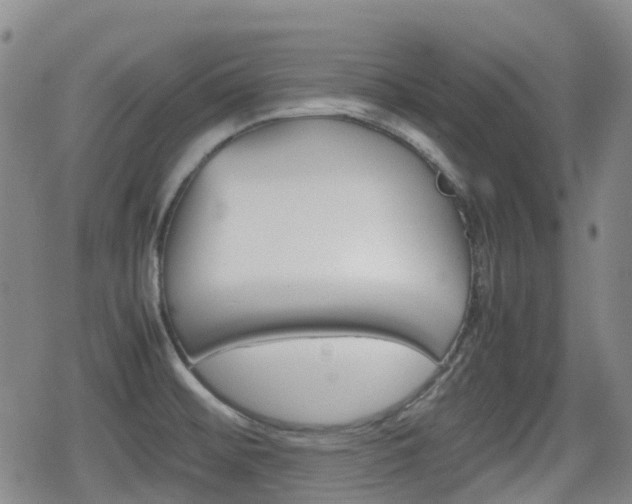 X0000080761476200612150921