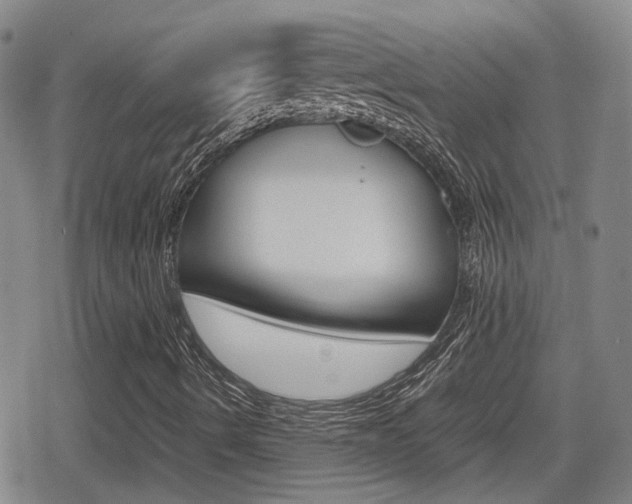 X0000080761490200612150920