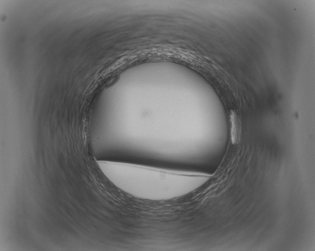 X0000080761491200612150920