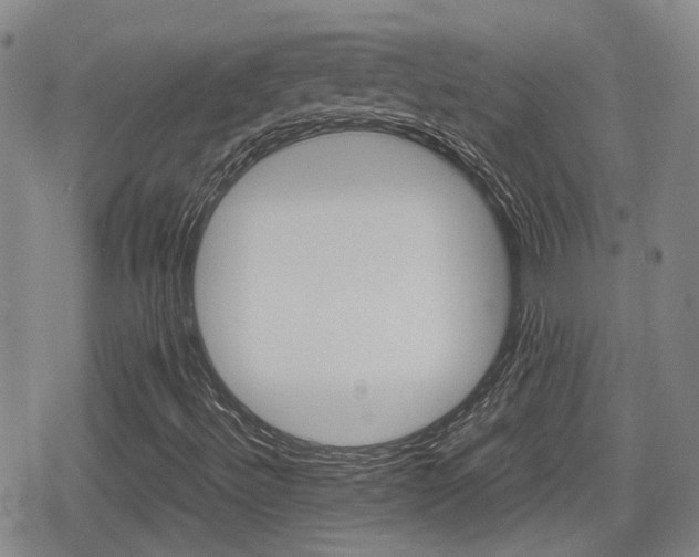 X0000080761492200612150920