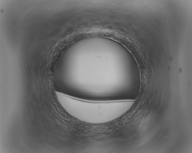 X0000080761493200612150920