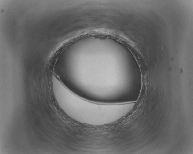 X0000080761496200612150921