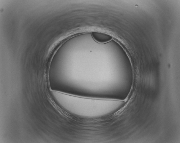 X0000080761499200612150921