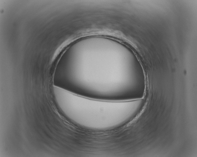 X0000080761501200612150921