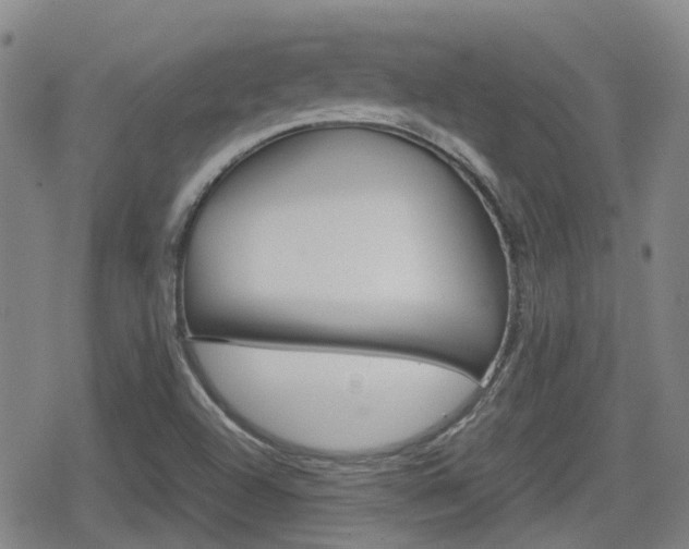 X0000080761504200612150921